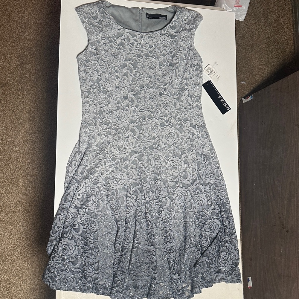 Chetta B Gray Sleeveless A-Line Mini Dress
